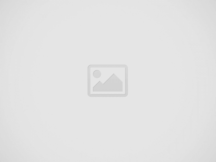 سایت شرط بندی شهناز تهرانی